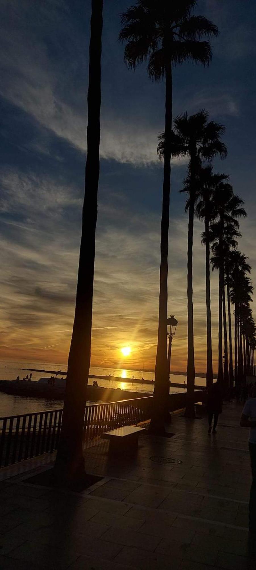 Cozy 2-Bed 2-Bathroom Apartment In Marbella Town Centre エクステリア 写真